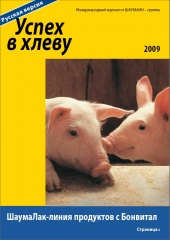 Журнал 2009-1